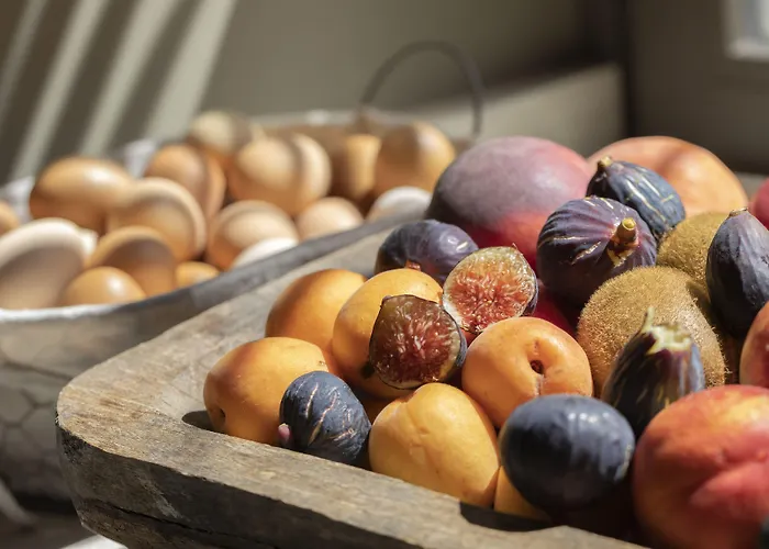 Auli Luxury Retreat - Adults Only