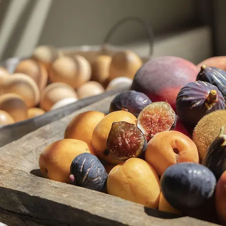 Aulí Luxury Retreat - Adults Only